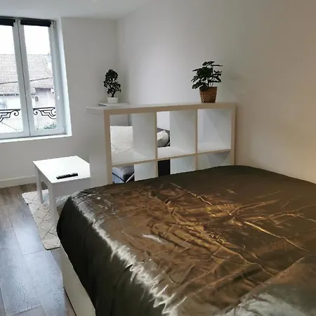 Le Cozy - Hyper Centre - Calme - Moyenne Duree * Épinal