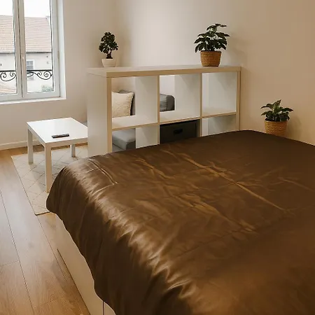 Lägenhet Le Cozy - Hyper Centre - Calme - Moyenne Duree Épinal