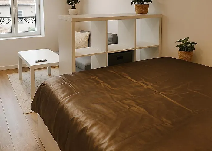 Apartmán Le Cozy - Hyper Centre - Calme - Moyenne Duree Épinal