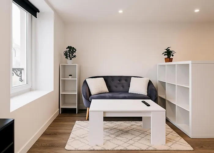 Le Cozy - Hyper Centre - Calme - Moyenne Duree * Épinal